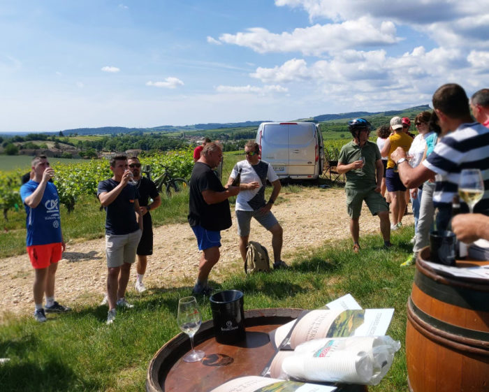 Accueil - La Maison Mâconnaise des vins