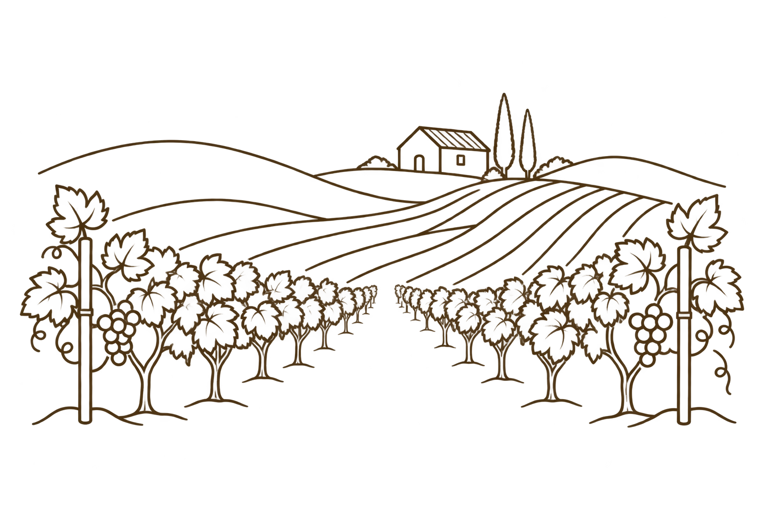 Vignoble