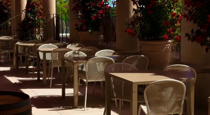 Terrasse ombragée de la Maison